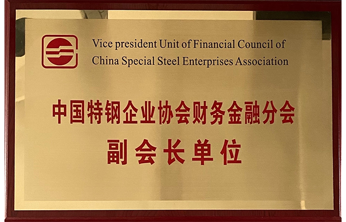 Vicepresidente dell'Unità di Finanza e Filiale Finanziaria della China Special Steel Enterprise Association