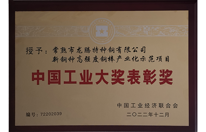 Premio di encomio del China Industrial Award